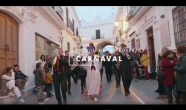 Se puede observar en el vídeo el desfile de carnaval de Conil pasando por distintos puntos del Municipio, en el que se pueden ver bandas de música, comparsas y personas disfrazadas y todo ello con mucho público alrededor del desfile.