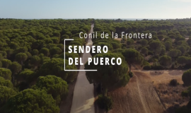 Es un sendero circular, se puede apreciar la gran diversidad de arbustos típicos de la zona y pinares que discurren a lo largo de todo el sendero.