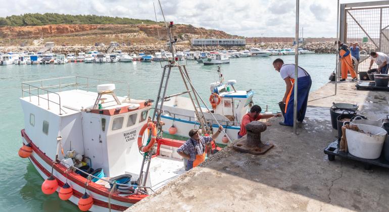 Ruta Del Mar Lonja