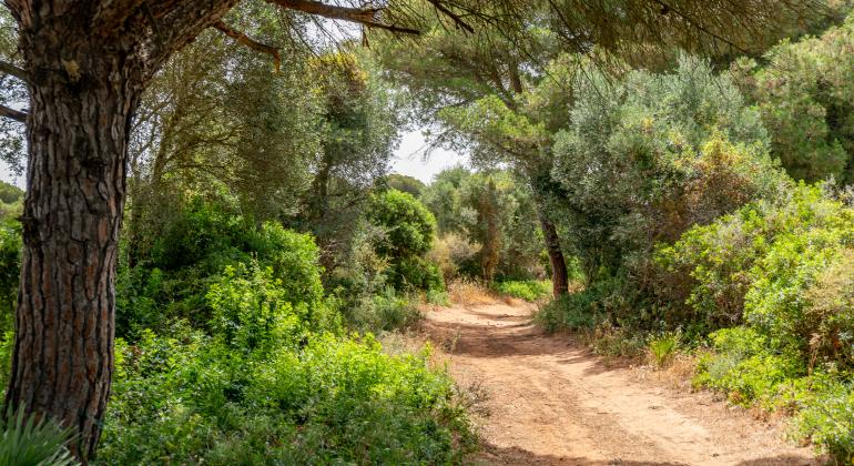 Senderos Conil Vejer