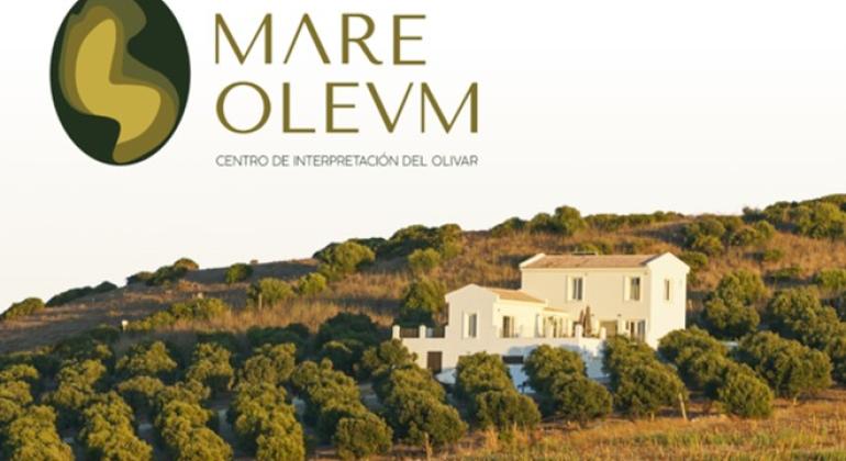 Centro de interpretación del olivar