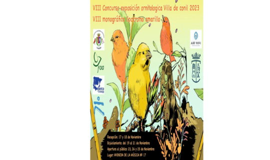 Cartel VIII Concurso exposición ortinológica Villa de Conil 2023