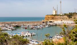 Se aprecia la vista de un puerto lleno de barquitas pequeñas de pescadores visto desde unos árboles verdes y al fondo se aprecia un faro en un día soleado