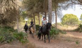 Recorrido A Caballo