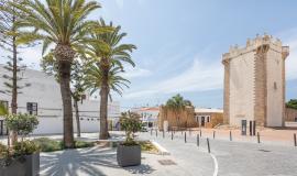 Se observa una plaza con grandes palmeras y macetones con plantas y al fondo una torre de piedra en un día soleado