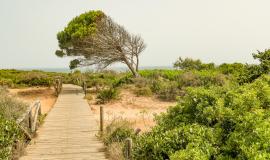 Sendero Desde El Faro Roche A La Cala Encendida