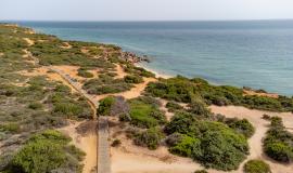 Sendero Desde El Faro Roche A La Cala Encendida V