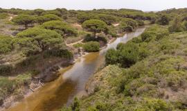 Sendero Río Roche