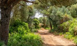 Senderos Conil Vejer