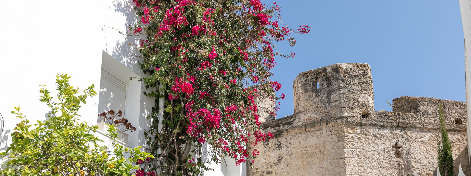 Ruta Por El Casco Antiguo