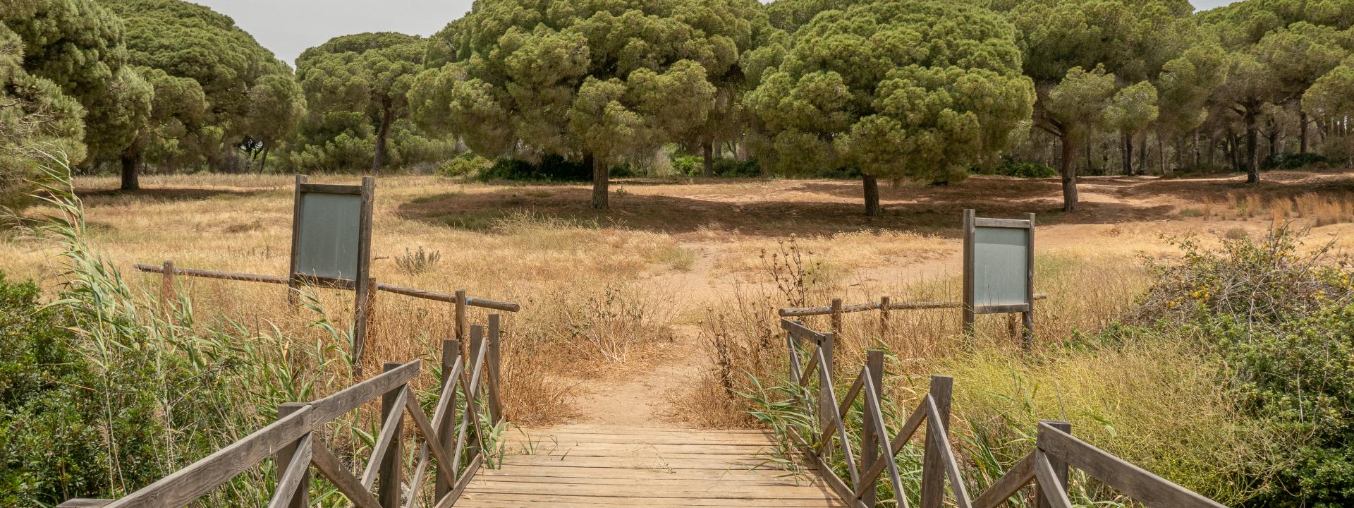 Sendero Río Roche