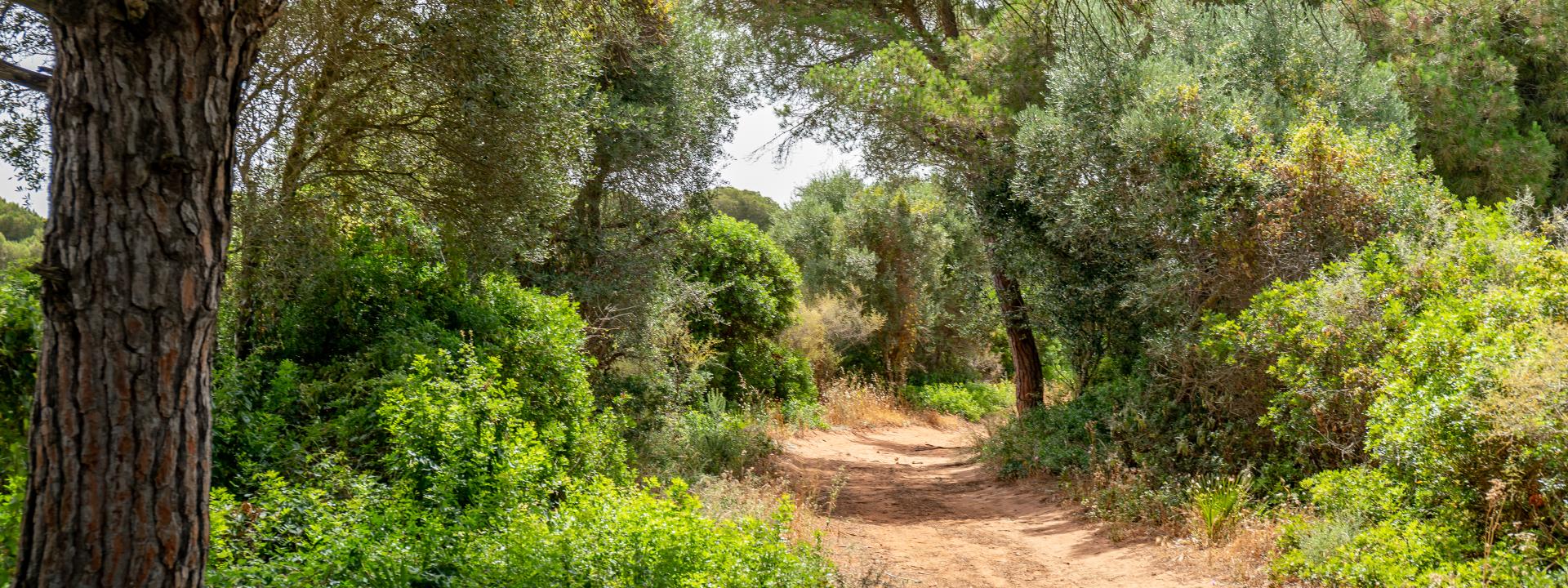 Senderos Conil Vejer