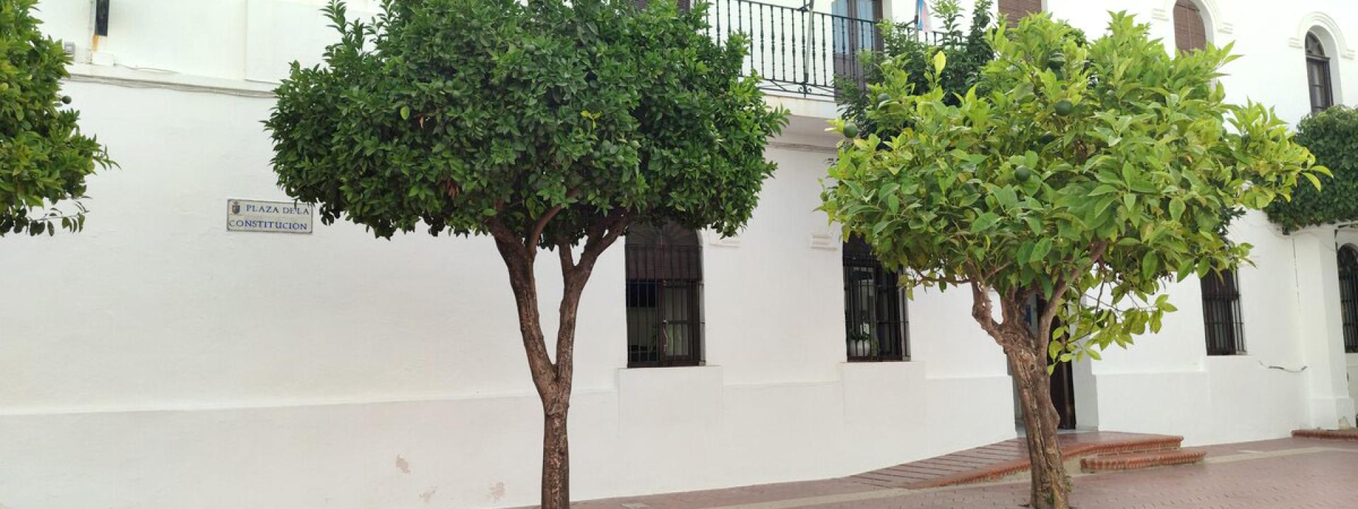 Puerta de entrada del ayuntamiento de Conil de la Frontera